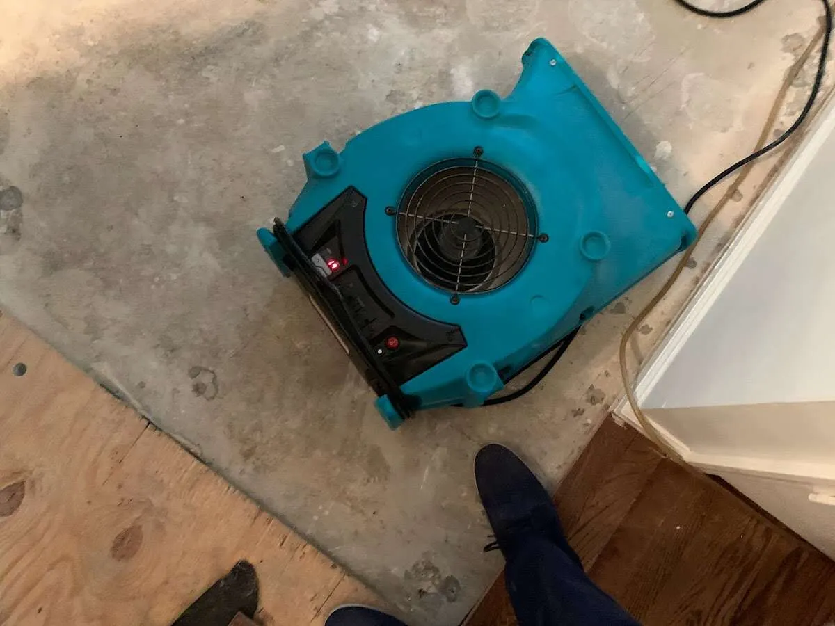 Air mover drying subfloor during Leak Detection & Repair in Cypress Gardens